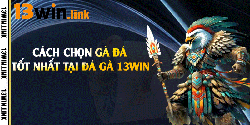 Cách chọn gà đá tốt nhất tại đá gà 13win